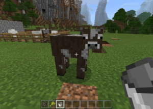 thumbnail image